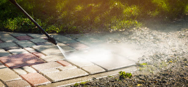 Best Dumpster Area Cleaning  in Mentor, OH